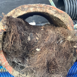 En 30cm hovedledning var helt tæt af trærødder