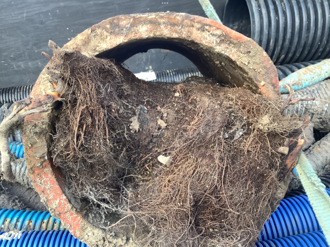 En 30cm hovedledning var helt tæt af trærødder 