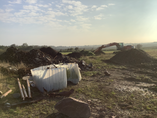 Masser af jern og trærødder 